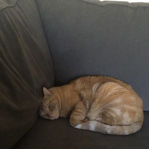 Meet your Posher, Katie